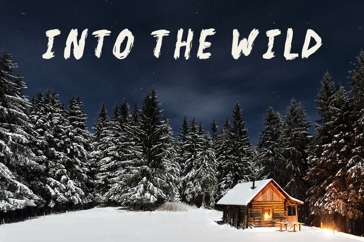 Backwoods Cabin Font preview 3
