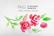 Set of watercolor flowers, a Decorative Illustration by ARSCOR (Thumbnail 6 of 11)