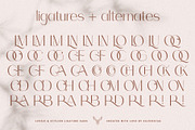 Celine - Chic Ligature Sans & Extras, a Sans Serif Font by SilverStag Type Foundry (Thumbnail 21 of 23)