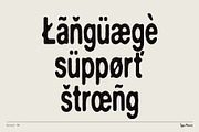 Normal TM – Gently Handled Grotesk, a Sans Serif Font by Type Mania (Thumbnail 10 of 12)