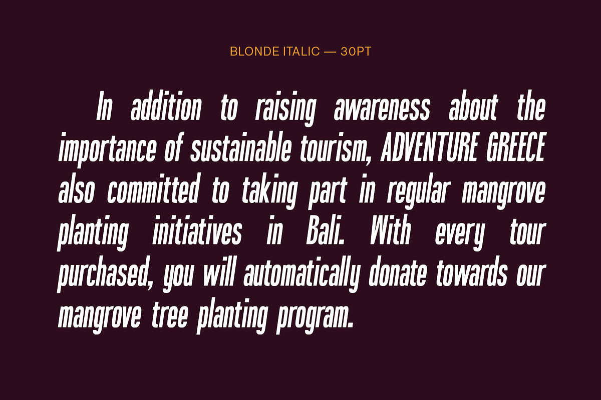 Blonden - Condensed Sans Serif, a Sans Serif Font by Craft Supply Co. (Photo 3 of 8)