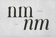 Mirellow White Distressed Serif, a Serif Font by Letterhend Studio (Thumbnail 4 of 13)