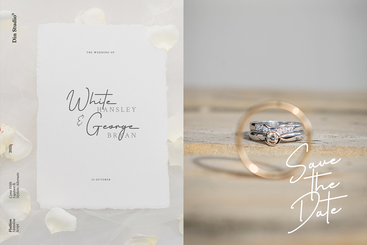 Flatlion Monoline Script Font, a Script Font by din-studio.com (Photo 6 of 10)