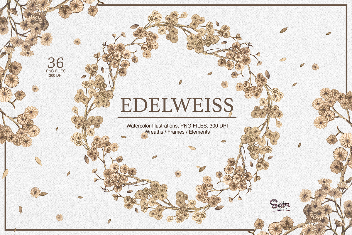 Edelweiss Watercolor Collections, an Illustration by Soir Creative (Photo 1 of 5)