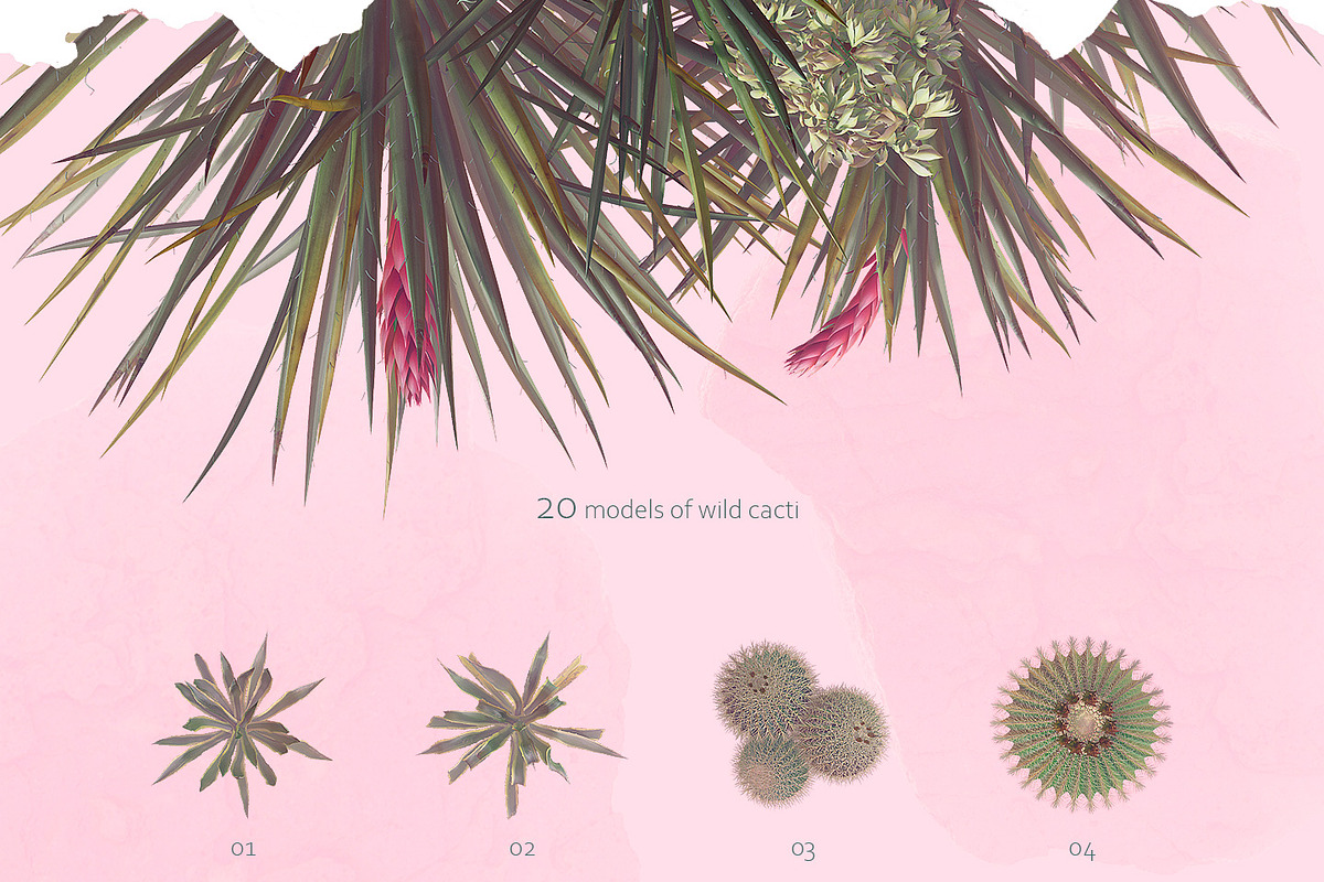 Sahara Flowers #01, a Product Mockup by ARKS ACADEMY (Photo 8 of 10)