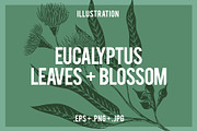 Eucalyptus Leaves & Blossom, an Animal Illustration by Electric Ink (Thumbnail 1 of 3)