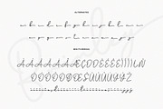 Brinley - Modern Handwritten Font, a Script Font by Flawless And Co (Thumbnail 9 of 10)