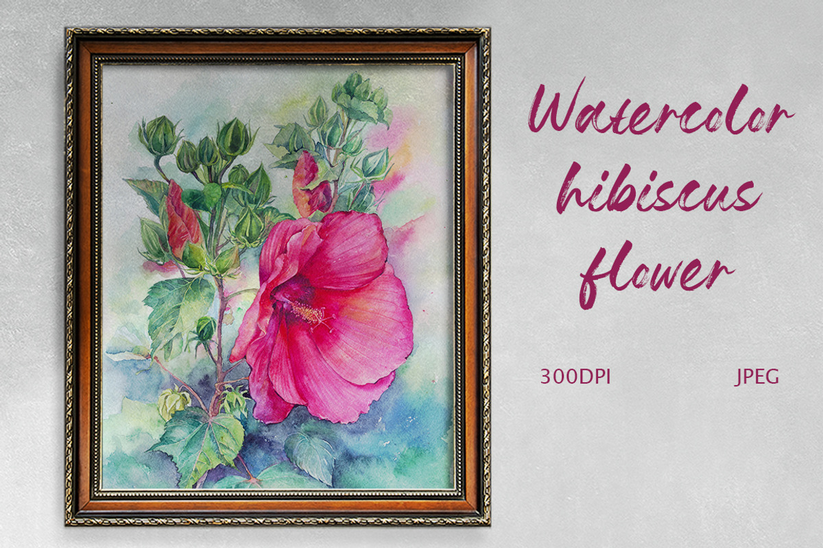 Watercolor hibiscus flowers botanica, an Illustration by MaryAmi (Photo 1 of 3)