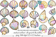 Hand Drawn Seashell Clipart, an Illustration by Designking (Thumbnail 1 of 5)