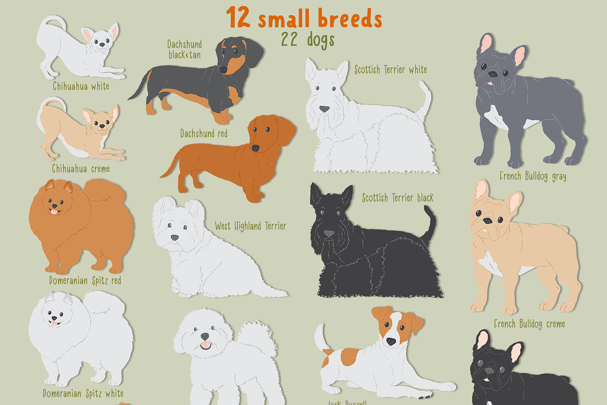 Dog breeds vector clipart, an Object Graphic by Trinibis (Photo 2 of 11)