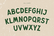 Wildboar - Vintage Display Font, a Sans Serif Font by Pekotype (Thumbnail 3 of 15)