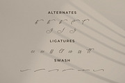 Kaleagnetta, a Handwritten Font by Integritype Studio (Thumbnail 11 of 15)