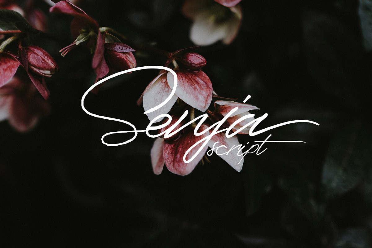 Senja script font, a Script Font by Emyself Design (Photo 1 of 7)