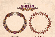 Shells, an Animal Illustration by Ink Stories (Thumbnail 6 of 21)