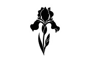 Floral Ornament Silhouette Bundle, an Illustration by BIPLOB EXPERT (Thumbnail 44 of 51)