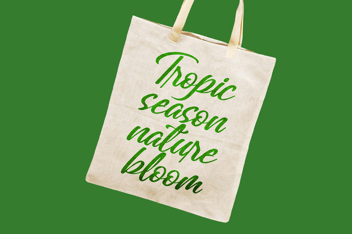 Greatesa Brought Bold Calligraphy, a Script Font by Letterena Studios Script (Photo 3 of 20)