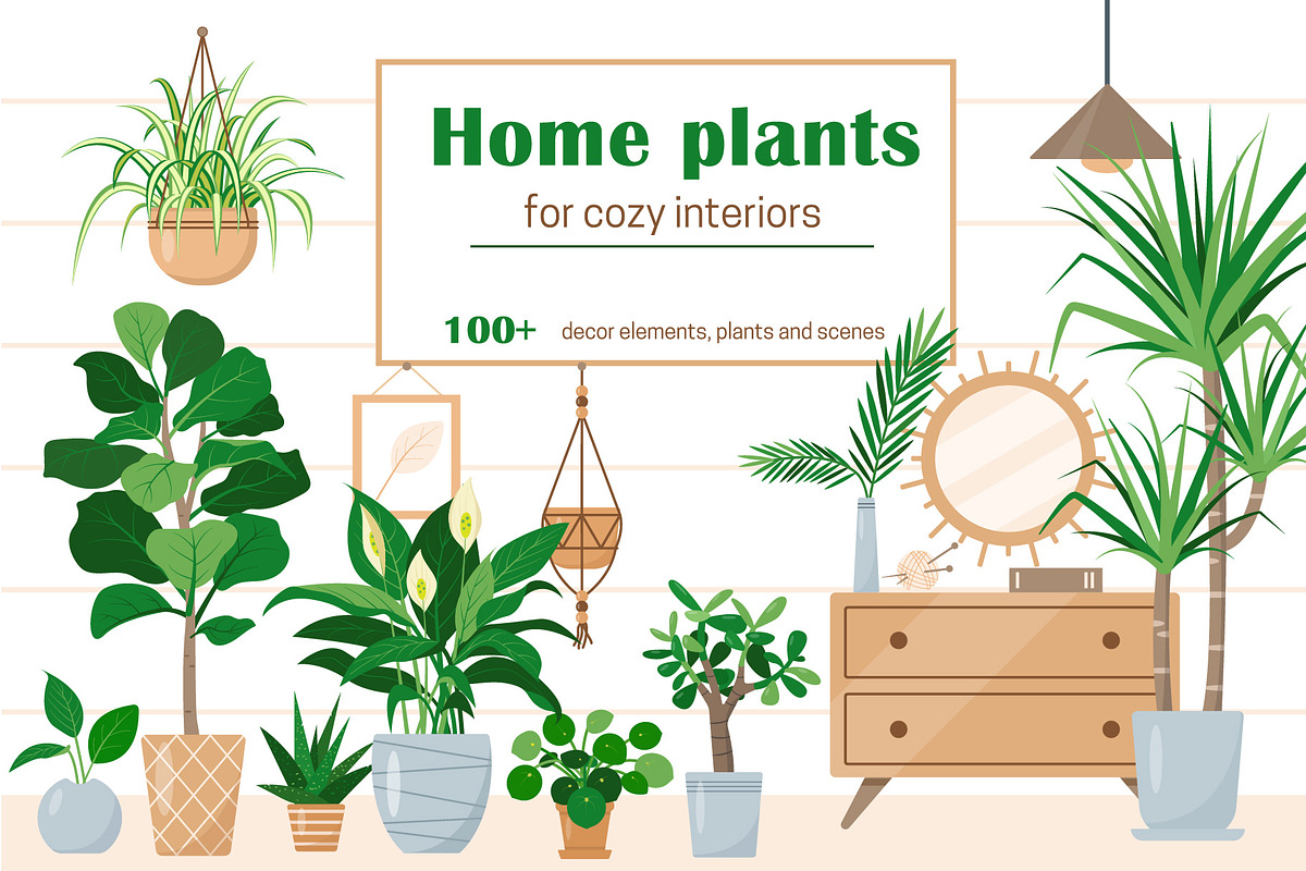Home plants in cozy interiors, an Illustration by Elena Istomina (Photo 1 of 10)
