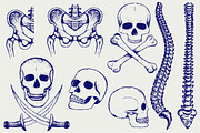 Skeleton, human bones, a Healthcare Illustration by LineworkStock (Thumbnail 1 of 3)