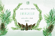 Pine. Watercolor clipart, an Illustration by LABFcreations (Thumbnail 7 of 9)