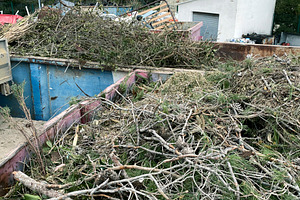 a container overflowing with pruning waste outdoors, a Photo by Nito
