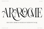 Aroney Family | 5 Style Fonts, a Serif Font by IM Studio (Thumbnail 5 of 12)