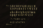 Germany Elegant Serif Font, a Serif Font by Perfectype (Thumbnail 8 of 8)