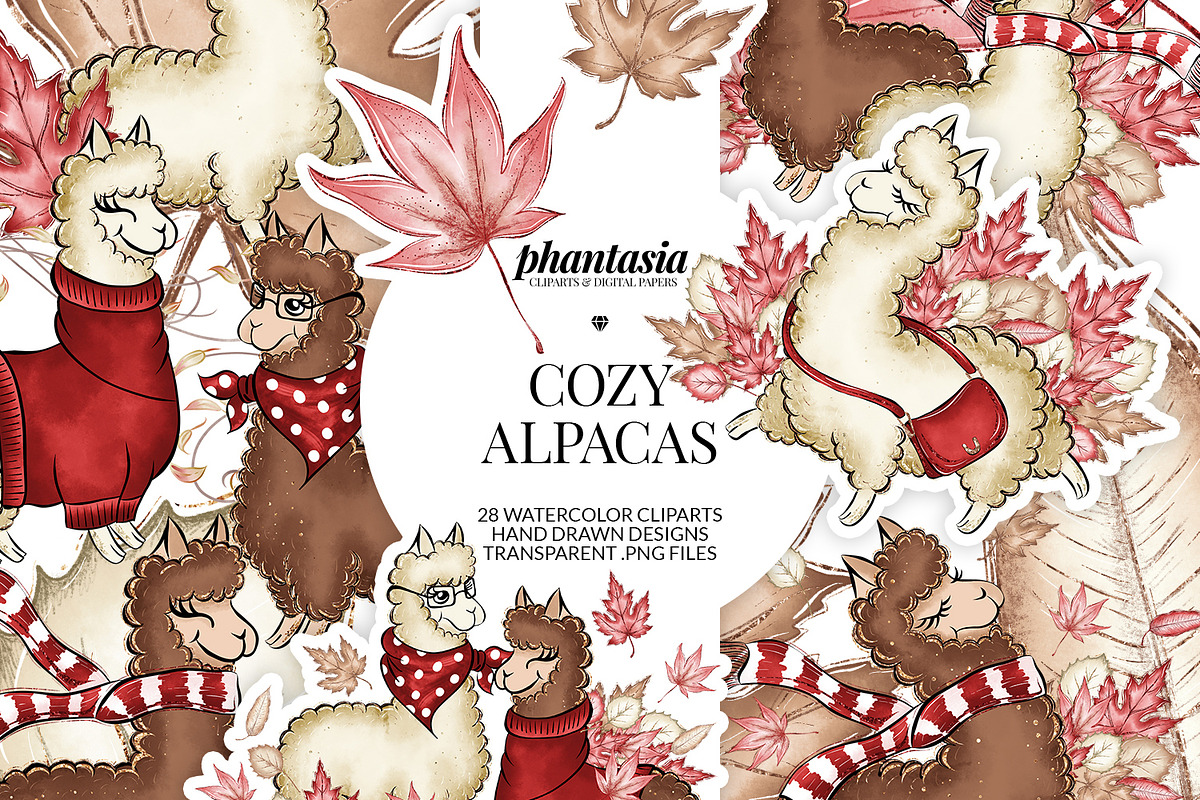 Alpaca Cliparts, an Illustration by Phantasia Design (Photo 1 of 8)