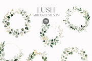 LUSH - Eucalyptus and Gold, a Decorative Illustration by Isabelle Salem (Thumbnail 3 of 7)
