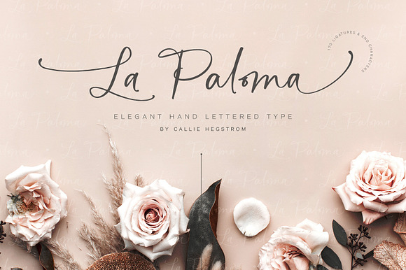 La Paloma Script Catchwords