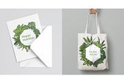 Indoor Plants VECTOR illustrations, a Seasonal Illustration by Natalka Dmitrova art (Thumbnail 7 of 16)