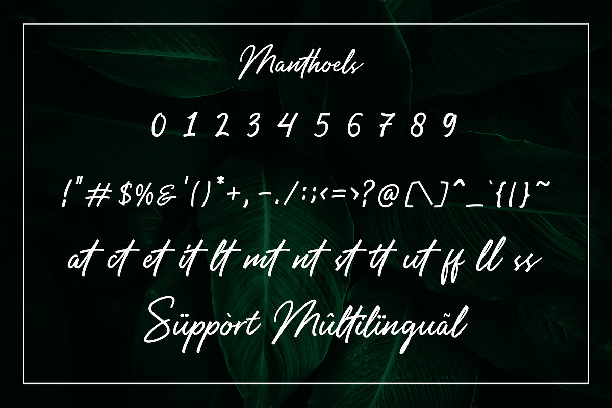 Manthoels - Stylish Signature, a Handwritten Font by Almarkhatype (Photo 10 of 12)