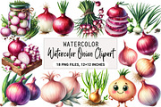 Watercolor Onion Clipart, an Illustration by DreamArtGraphic (Thumbnail 1 of 5)