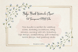 Baby's Breath Watercolor Clipart