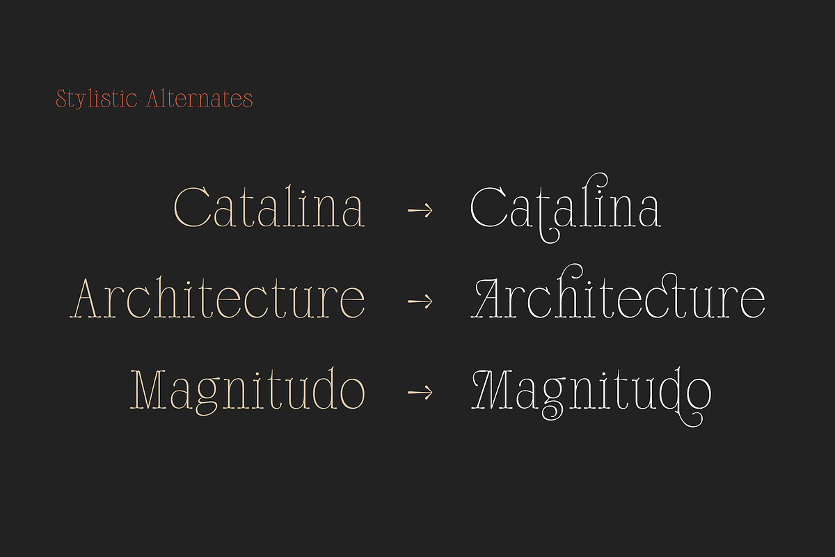 Scottsdale Serif preview 5