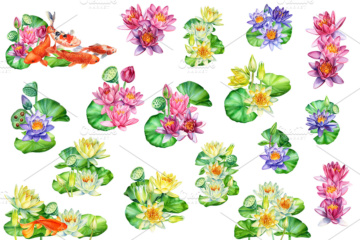 Lotus flowers and koi fish, an Animal Illustration by Hanna Hryharenka (Photo 6 of 13)