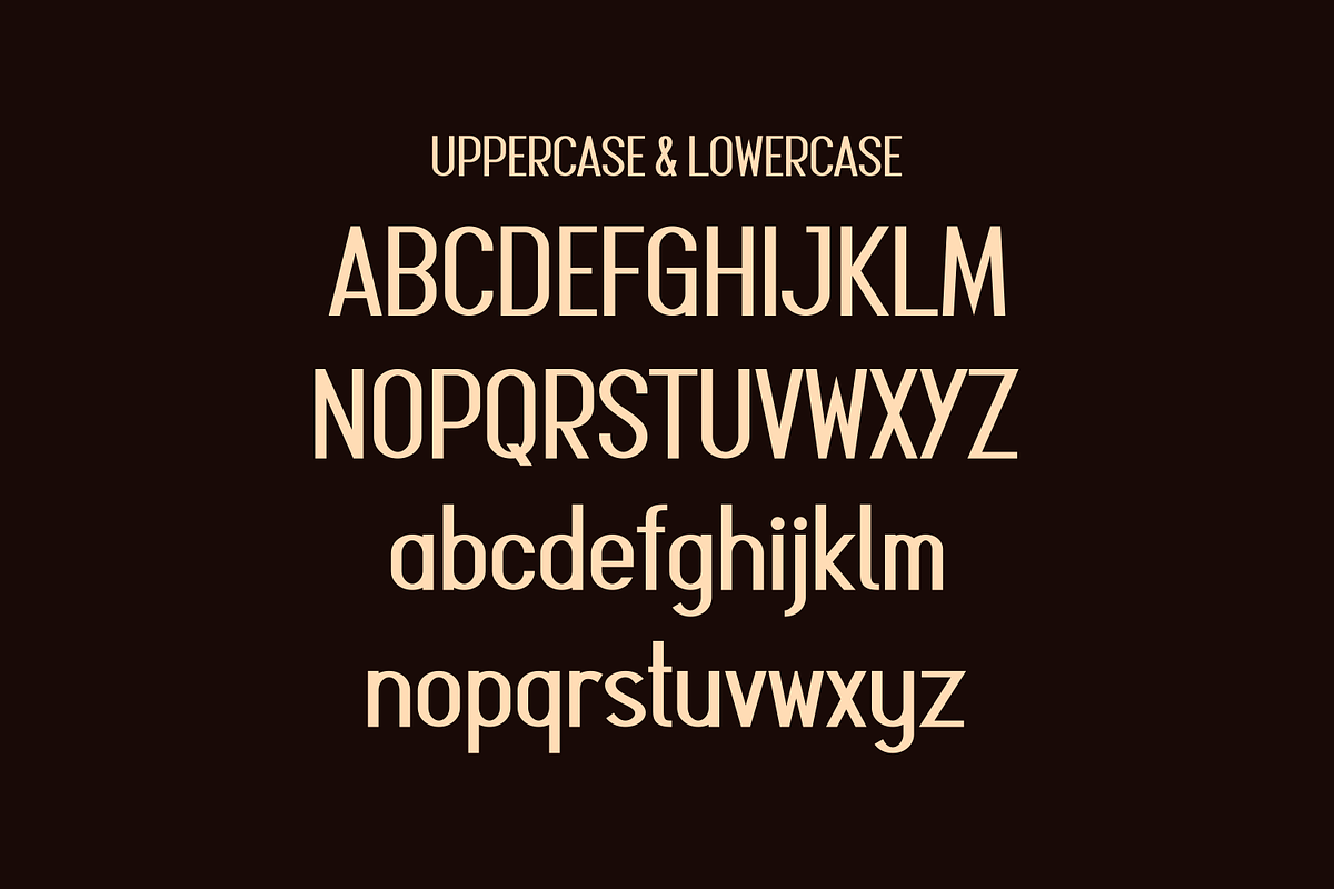 Soenir - Modern Display Font, a Sans Serif Font by lelevien (Photo 3 of 4)