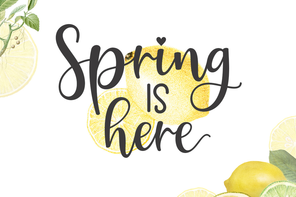 Hailey Trio Font, a Script Font by Natural Ink Studio (Photo 7 of 8)