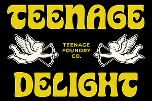 Teenage Delight, a Handwritten Font by TeenageFoundry