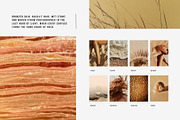 Golden Shore | 240 Stock Images, a Nature Photo by Tale.Haus (Thumbnail 6 of 19)