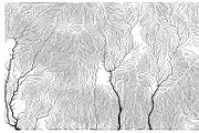 Growth - 50 Backgrounds, a Texture Graphic by GarryKillian (Thumbnail 25 of 51)