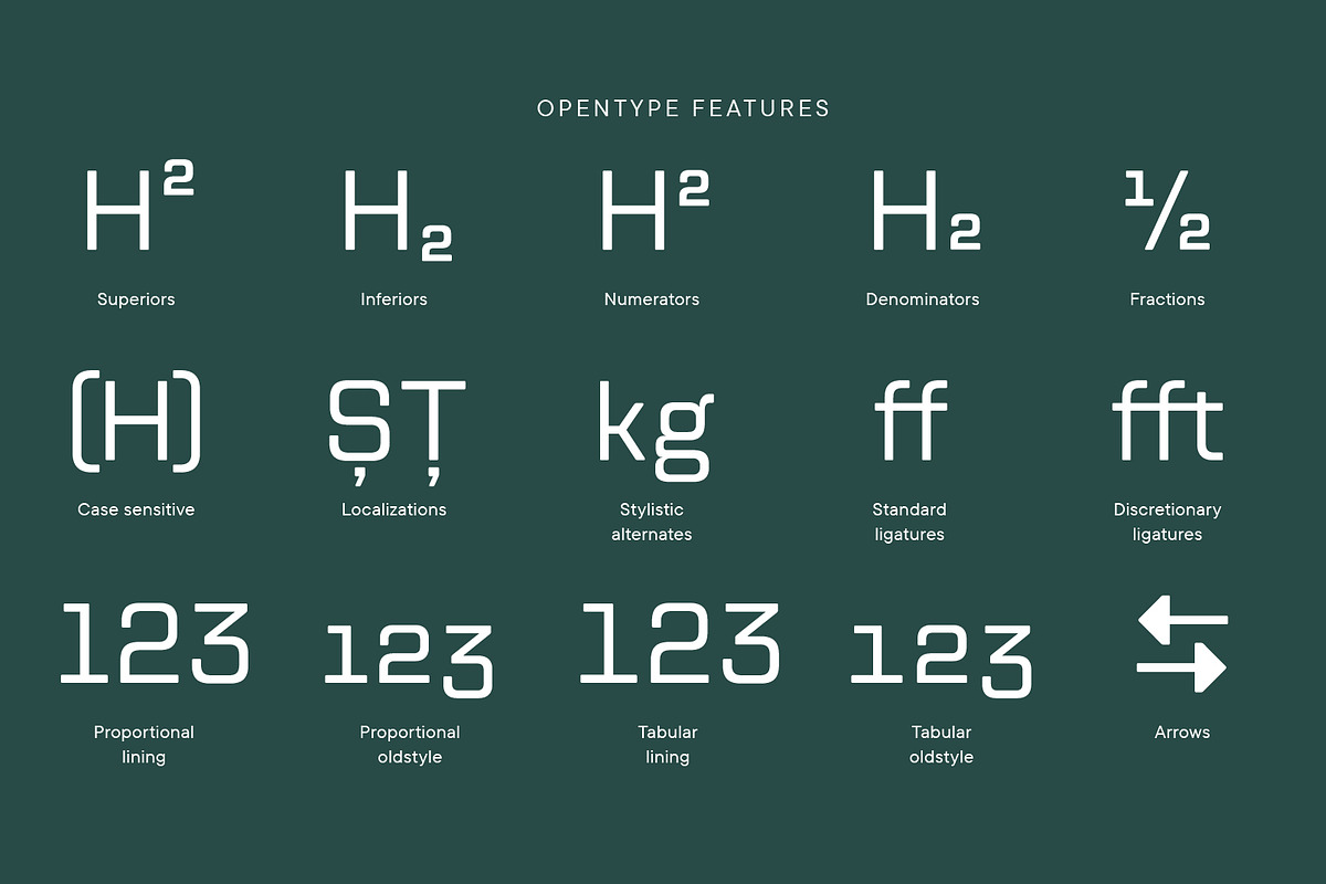 TT Lakes Neue Basic, a Sans Serif Font by TypeType (Photo 5 of 8)