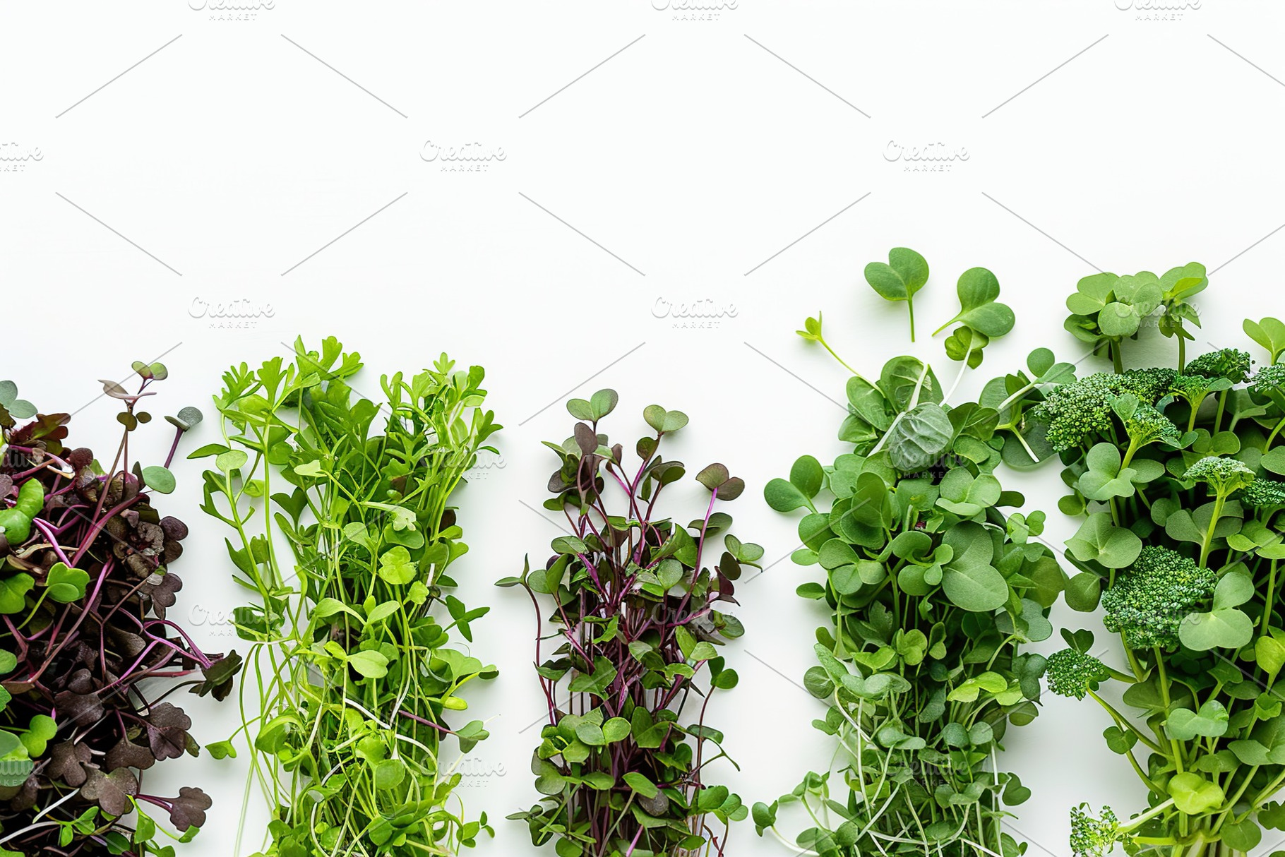 Different fresh microgreens on white background, a Food & Drink Photo by AlyaAnd