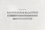 Brown Rosemary Elegant Serif Font, a Serif Font by UICreative (Thumbnail 13 of 13)