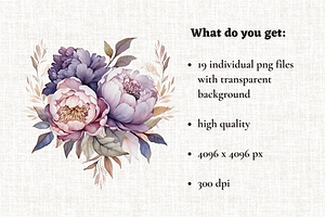 Watercolor Purple Peonies PNG