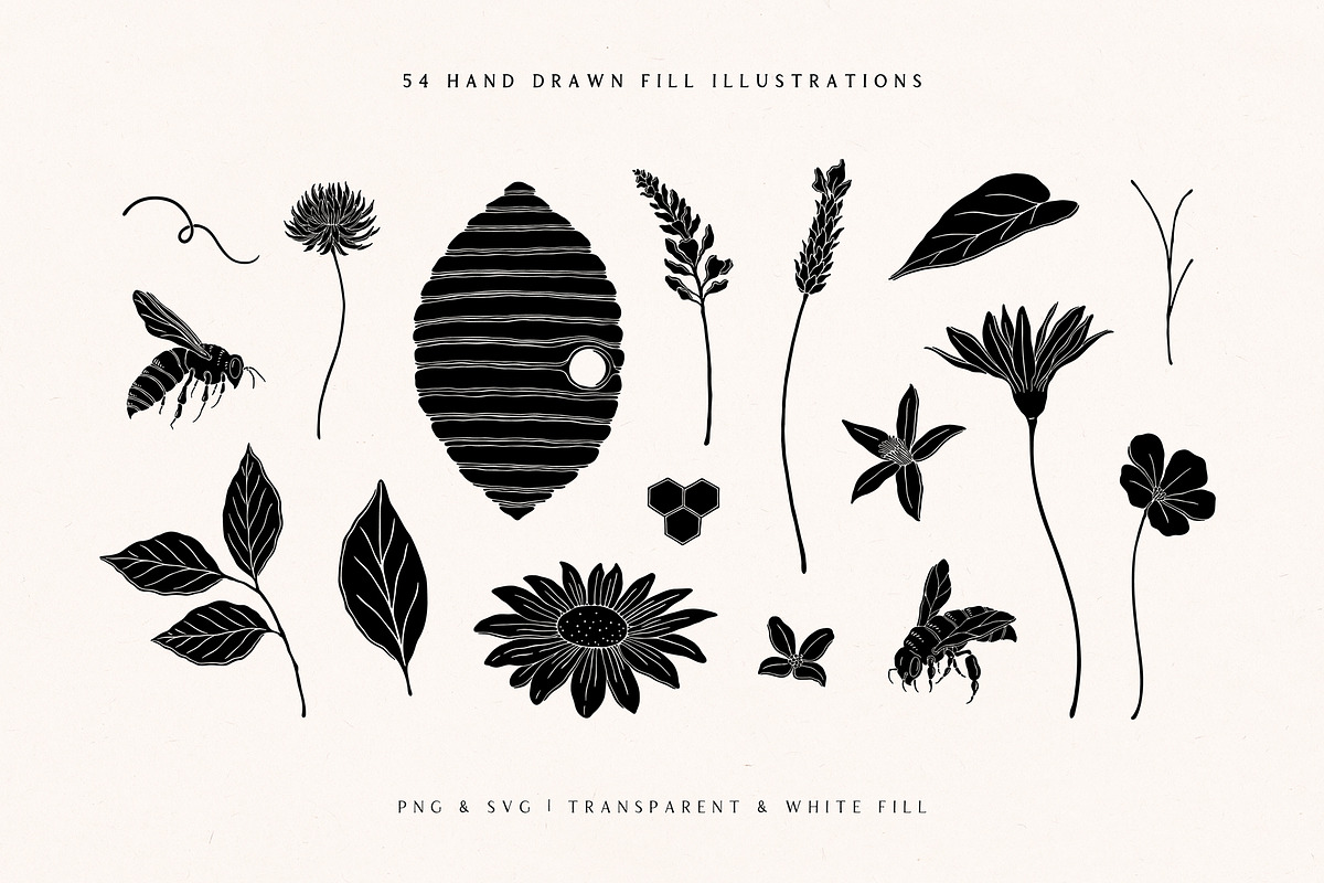 Wild Honey Vector Illustrations, a Decorative Illustration by rouxsupplyco (Photo 7 of 14)