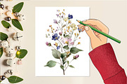 Forest Melody Watercolor Collection, an Illustration by DreamCafeArt (Thumbnail 5 of 6)