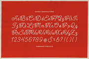 Audley Ipswitch | Monoline Script, a Script Font by gracetype_studio (Thumbnail 10 of 12)