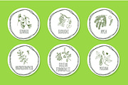 Ayurvedic Herb Collection, an Object Graphic by AV Design (Thumbnail 2 of 5)