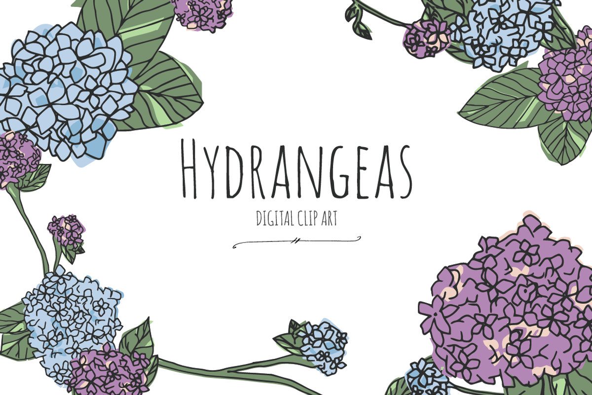 Hydrangeas - Digital Clip Art, an Illustration by DesignsByMissM