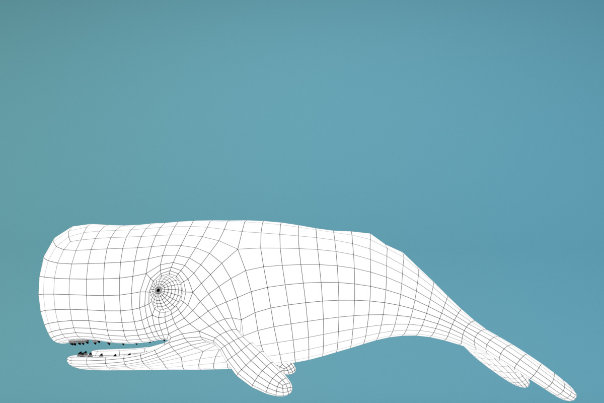 Cartoon Whale, an Animal 3D Model by XYZ Space (Photo 7 of 9)